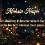 Mohsin Naqvi