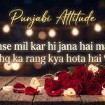 Punjabi Attitude